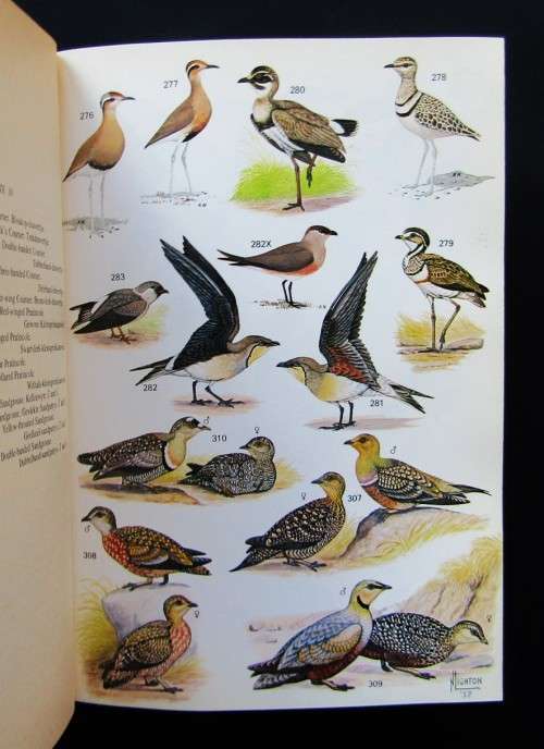 Roberts` Birds of South Africa Hardcover Book (1981)