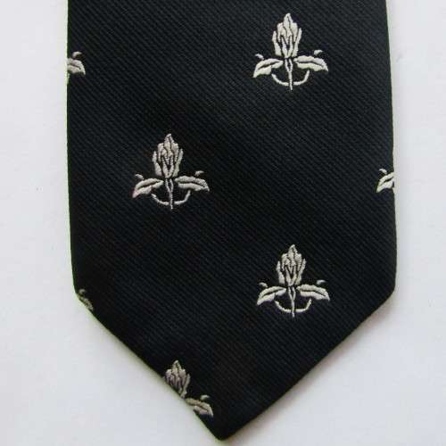 Old WP Western Province Rugby Neck Tie