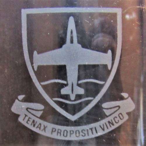 SAAF Langebaan Flight Training School Beer Mug