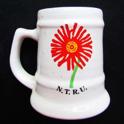 Old Noord Transvaal Rugby Beer Mug