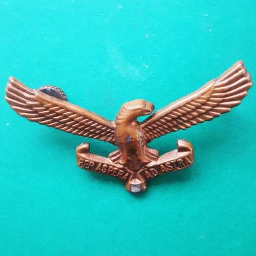 Old SAAF Airforce Metal Cap Badge