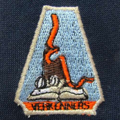 Old Verkenners Insignia Tie