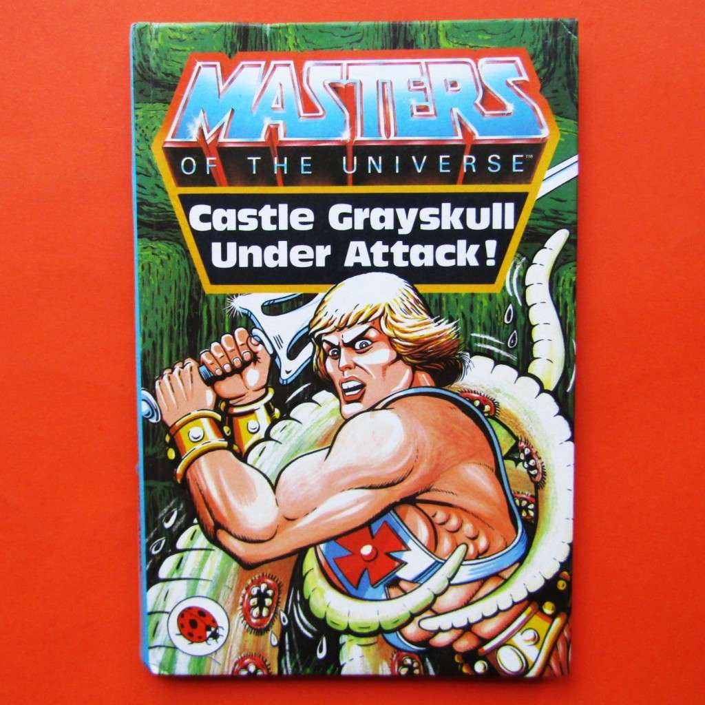 1984 Masters of the Universe - Hardcover Book