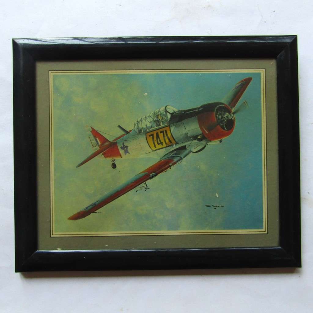 1981 SAAF Aircraft Framed Image