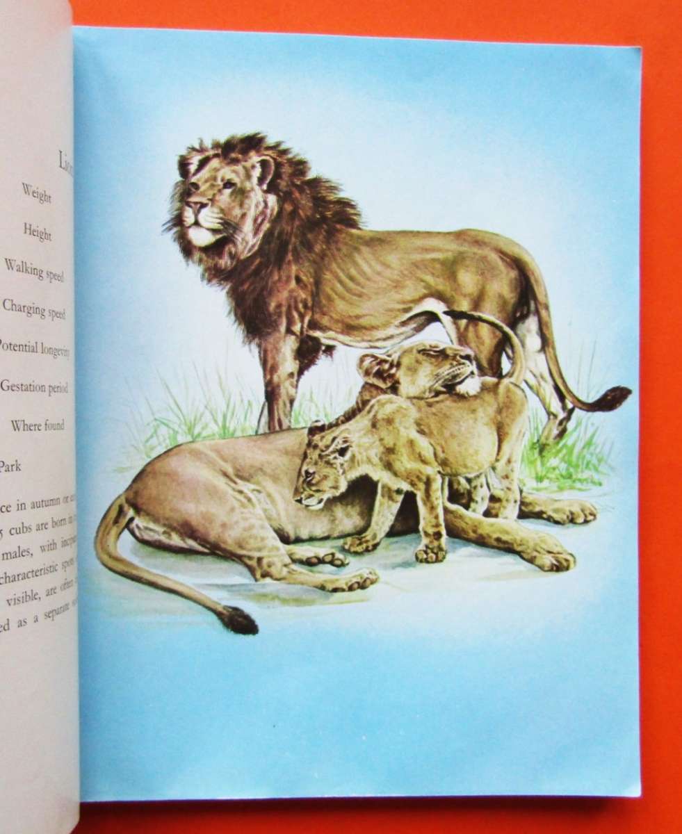 1966 Mammals of the Kruger Park Wildtuin Booklet
