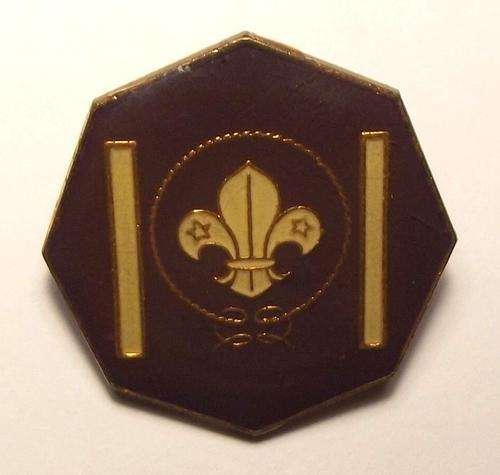 Old South African Boy Scouts Insignia Lapel Pin Badge