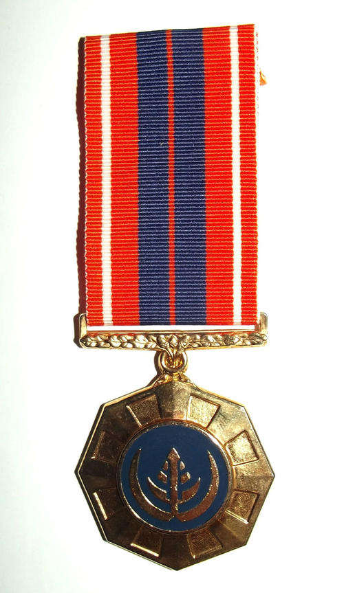 SADF Bush War Pro Patria Full Size Medal for Border Service