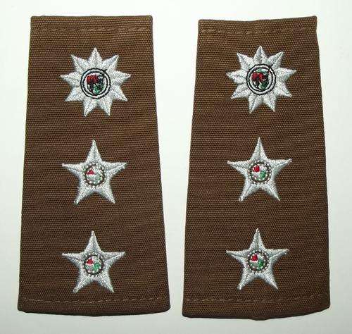 SADF Army Colonel Nutria Slip On Shoulder Ranks