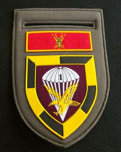 SADF 1 PARA BATTALION RUBBER ARM FLASH