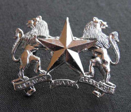 SA REGIMENT MOLOPO METAL BERET BADGE