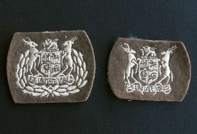 SADF ARMY WARRANT OFFICER 1+2 SLEEVE RANKS