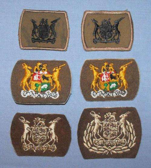 SADF ARMY WARRANT OFFICER NUTRIA ARM RANKS