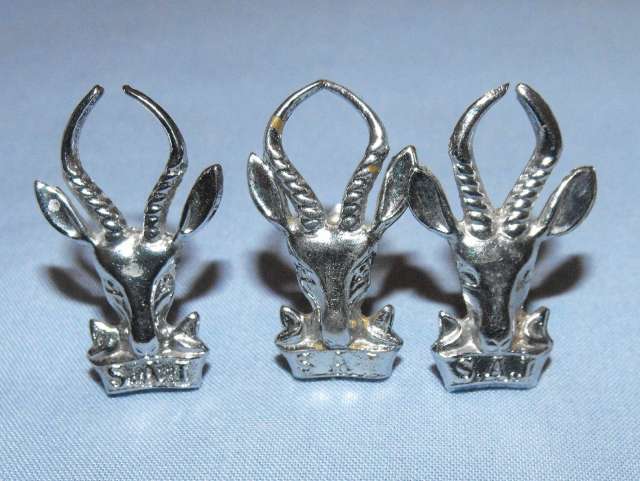 SADF INFANTRY METAL BERET + COLLAR BADGES