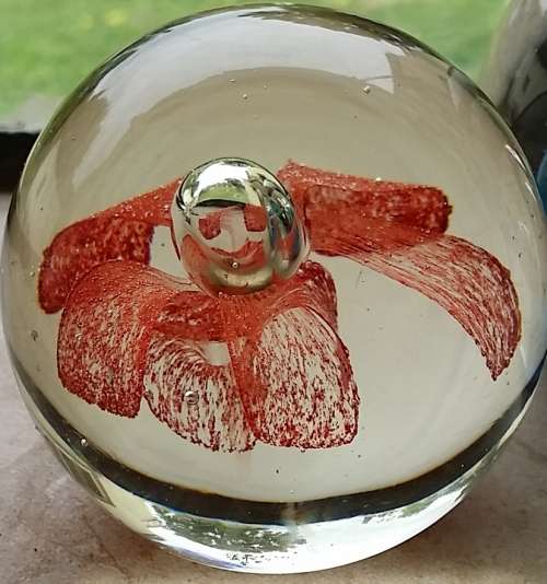 Delightful display pieces! 4 Vintage Paperweights. Stunning Colourful Murano