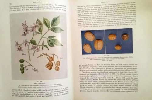 Medicinal and Poisonous Plants of Southern and Eastern Africa 2nd Ed.1962