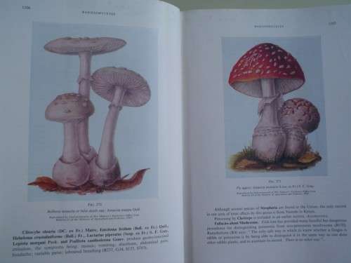 Medicinal and Poisonous Plants of Southern and Eastern Africa 2nd Ed.1962