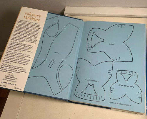 **Reserved For Dorianne**Falconry And Hawking Phillip Glasier