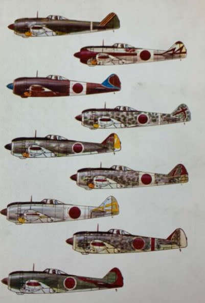 Japanese Army Air Force Camouflage Markings World War II- Donald W. Thorpe 5 Star**