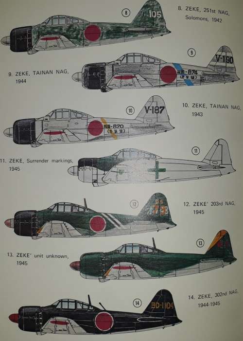 Japanese Army Air Force Camouflage Markings World War II- Donald W. Thorpe 5 Star**