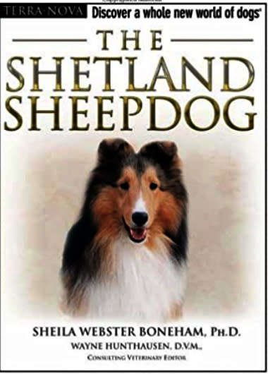 The Shetland Sheepdog Plus Training DVD-5 Star Rating