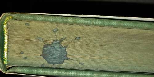 Paterson`s Cape travels 1777-1779 /Vernon S. Forbes and John Rourke Limited Edition