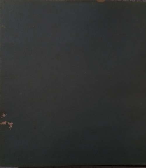 The Brenthurst Baines : works of Thomas Baines in the Oppenheimer Collection