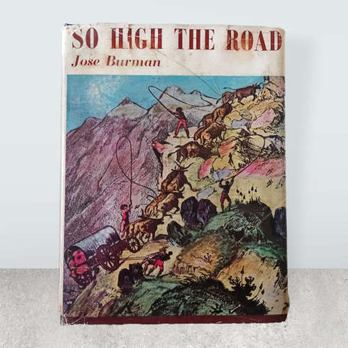 So High the Road ~Jose Burman ~ Mountain Passes of the Western Cape