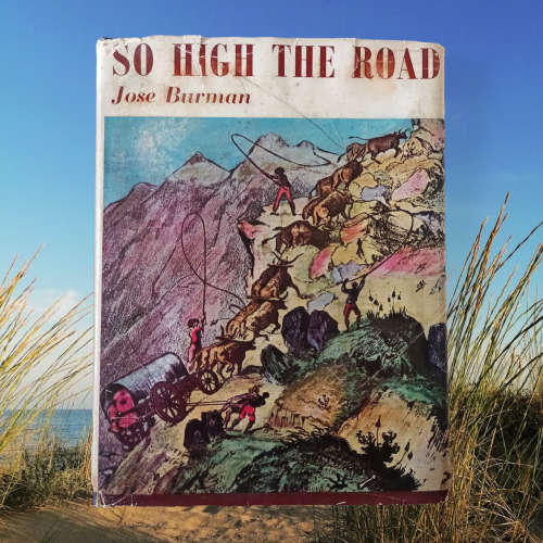 So High the Road ~Jose Burman ~ Mountain Passes of the Western Cape