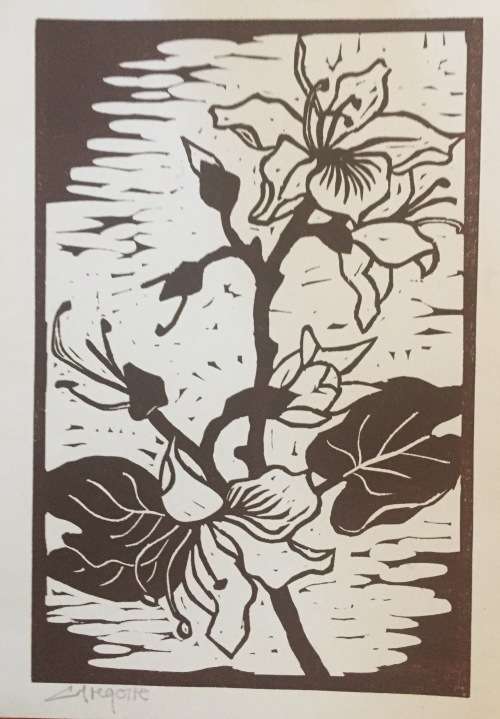 Gregoire Boonzaier Bauhinia`s