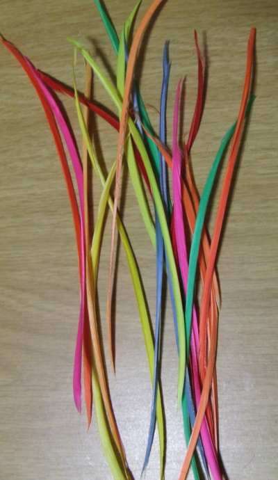 Mixed colours of Goose Biots Fly fishing/Fly tying