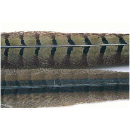 Veniard Cock Pheasant Centre tails - Fly fishing/Fly tying