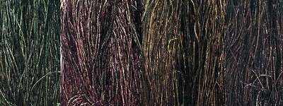 Veniard Peacock Herl - DYED GREEN - Fly fishing