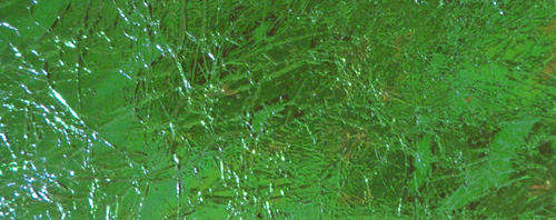 Bill's Dry Fly Foil Foam - Fly fishing/Fly tying