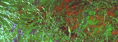 Bill's Dry Fly Foil Foam - Fly fishing/Fly tying