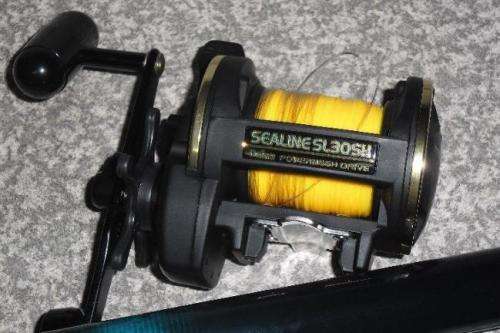 DAIWA SEALINE SL 30SH