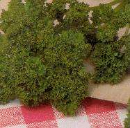 Parsley 100 seeds "Triple Moss Curled"