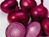 Onion 200+ seeds "Red Creole"