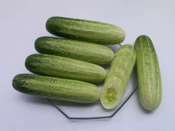 Cucumber 5 seeds "Taiwan New Town"