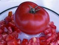 Tomato 10 seeds "Brandywine red"