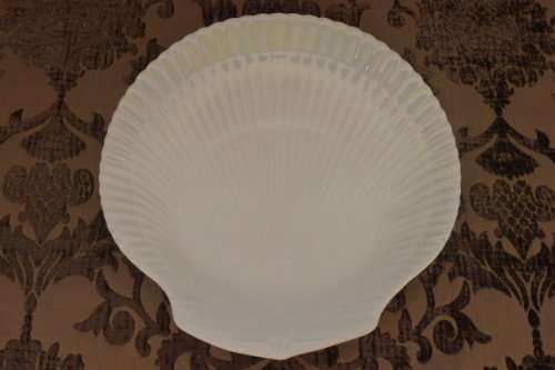 A RARE ENGLISH MADE "WEDGWOOD" BONE CHINA "NAUTILUS LUSTRE" COLLECTION LARGE COLLECTIBLE PLATE