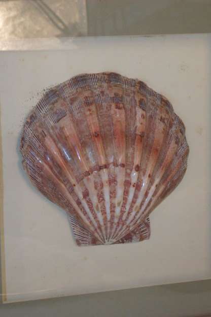 A STUNNING COLLECTION OF FOUR LARGE SEASHELL "BOX FRAMED" WALL PICTURES bid/frame