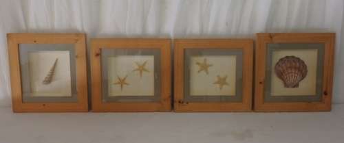 A STUNNING COLLECTION OF FOUR LARGE SEASHELL "BOX FRAMED" WALL PICTURES bid/frame