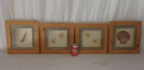 A STUNNING COLLECTION OF FOUR LARGE SEASHELL "BOX FRAMED" WALL PICTURES bid/frame