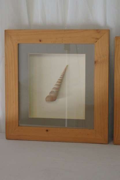 A STUNNING COLLECTION OF FOUR LARGE SEASHELL "BOX FRAMED" WALL PICTURES bid/frame