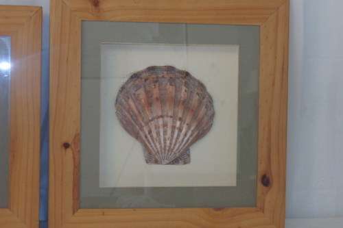 A STUNNING COLLECTION OF FOUR LARGE SEASHELL "BOX FRAMED" WALL PICTURES bid/frame