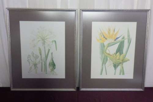 TWO BEAUTIFUL FRAMED "FAY ANDERSON" BOTANICAL FLOWERS WATER COLOUR PRINTS bid/print