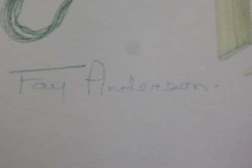 TWO BEAUTIFUL FRAMED "FAY ANDERSON" BOTANICAL FLOWERS WATER COLOUR PRINTS bid/print