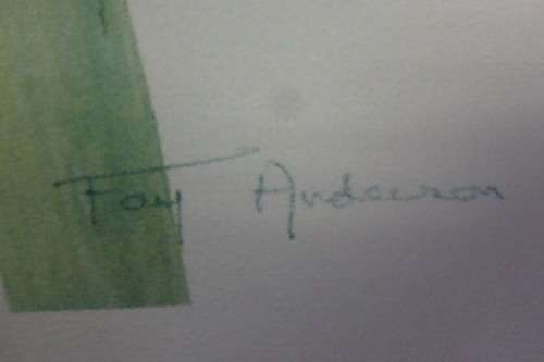 TWO BEAUTIFUL FRAMED "FAY ANDERSON" BOTANICAL FLOWERS WATER COLOUR PRINTS bid/print