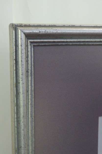 TWO BEAUTIFUL FRAMED "FAY ANDERSON" BOTANICAL FLOWERS WATER COLOUR PRINTS bid/print