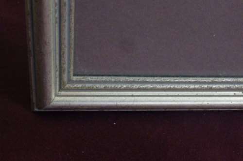 TWO BEAUTIFUL FRAMED "FAY ANDERSON" BOTANICAL FLOWERS WATER COLOUR PRINTS bid/print